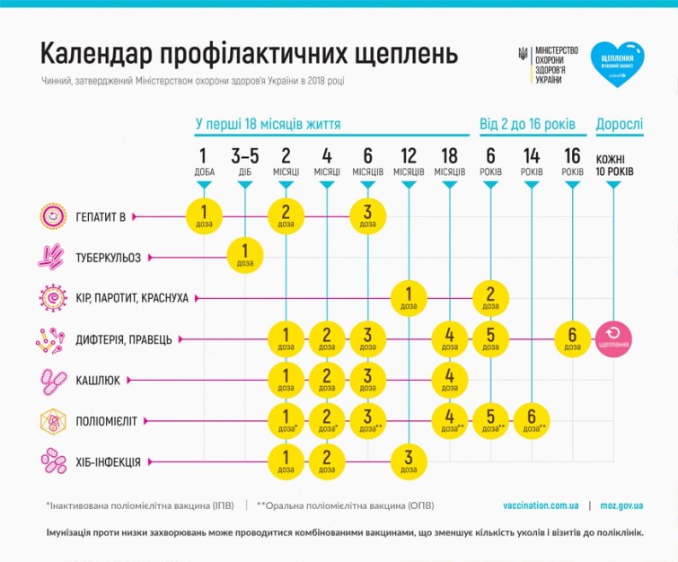 Проведення вакцинації відповідно до календаря щеплень