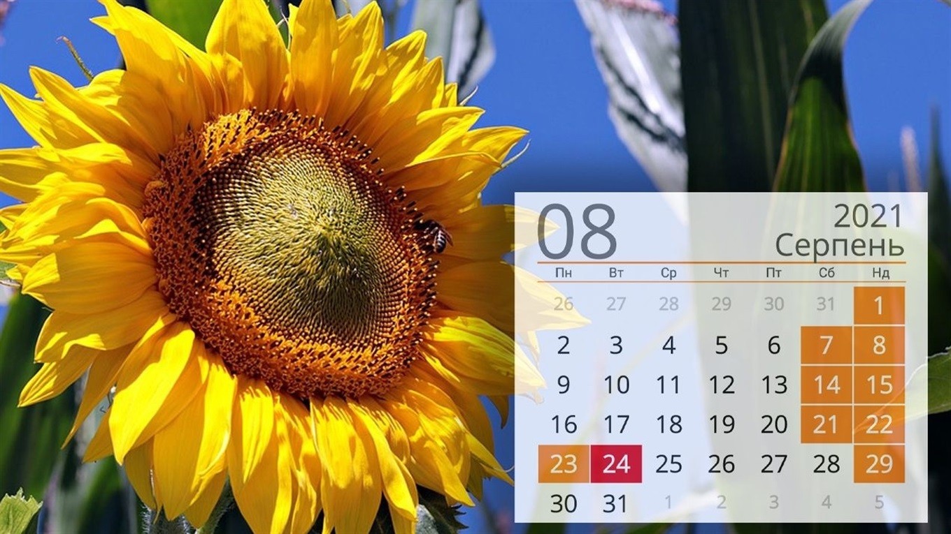 Вакцинація Вакцинація