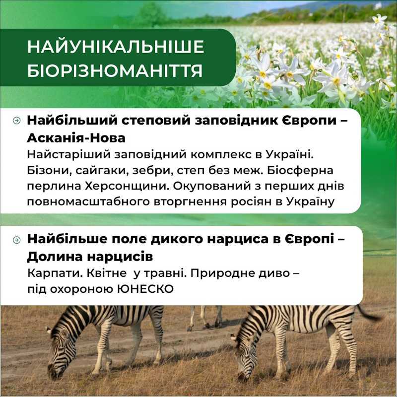 5 червня — Всесвітній день довкілля