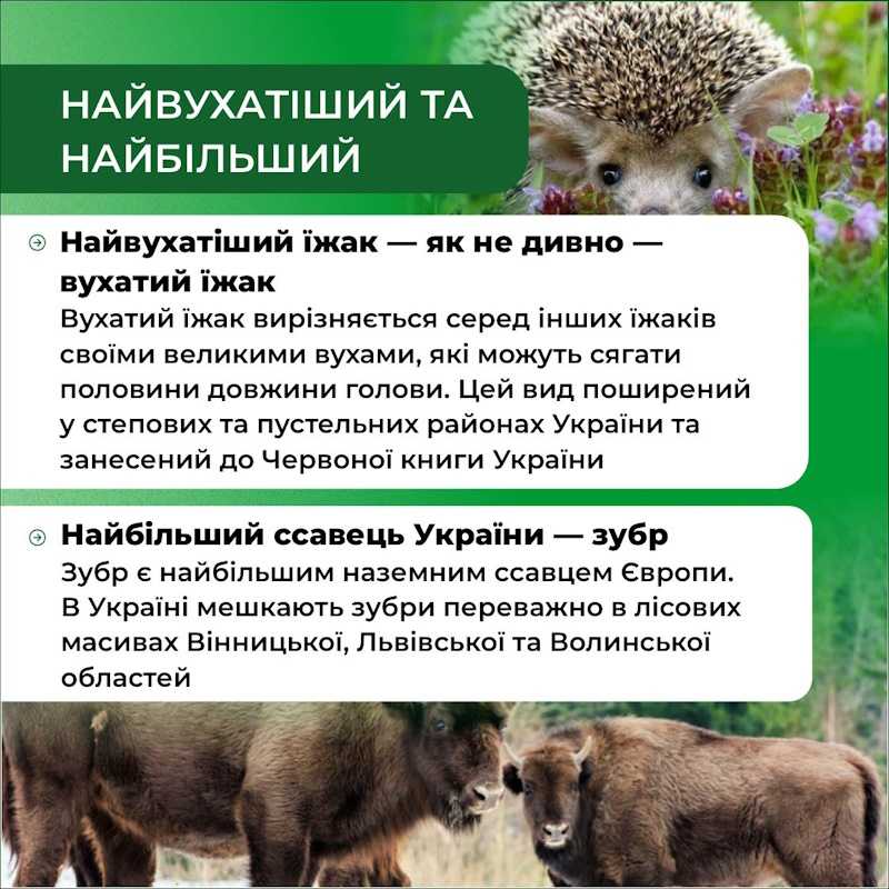 5 червня — Всесвітній день довкілля
