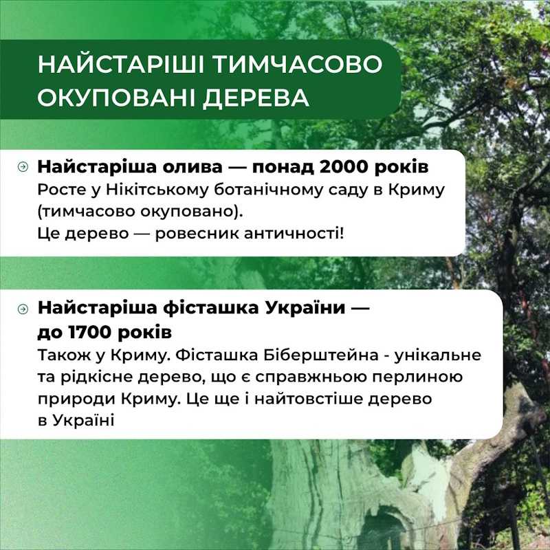 5 червня — Всесвітній день довкілля