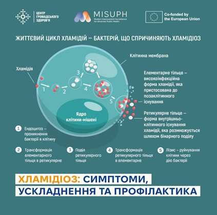 Хламідіоз: симптоми, ускладнення та профілактика