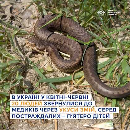 Як уберегтися від укусу змії