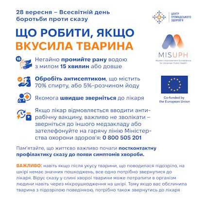 Що робити, якщо вкусила тварина
