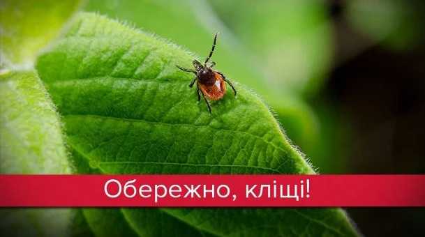 ОБЕРЕЖНО – Кліщі!