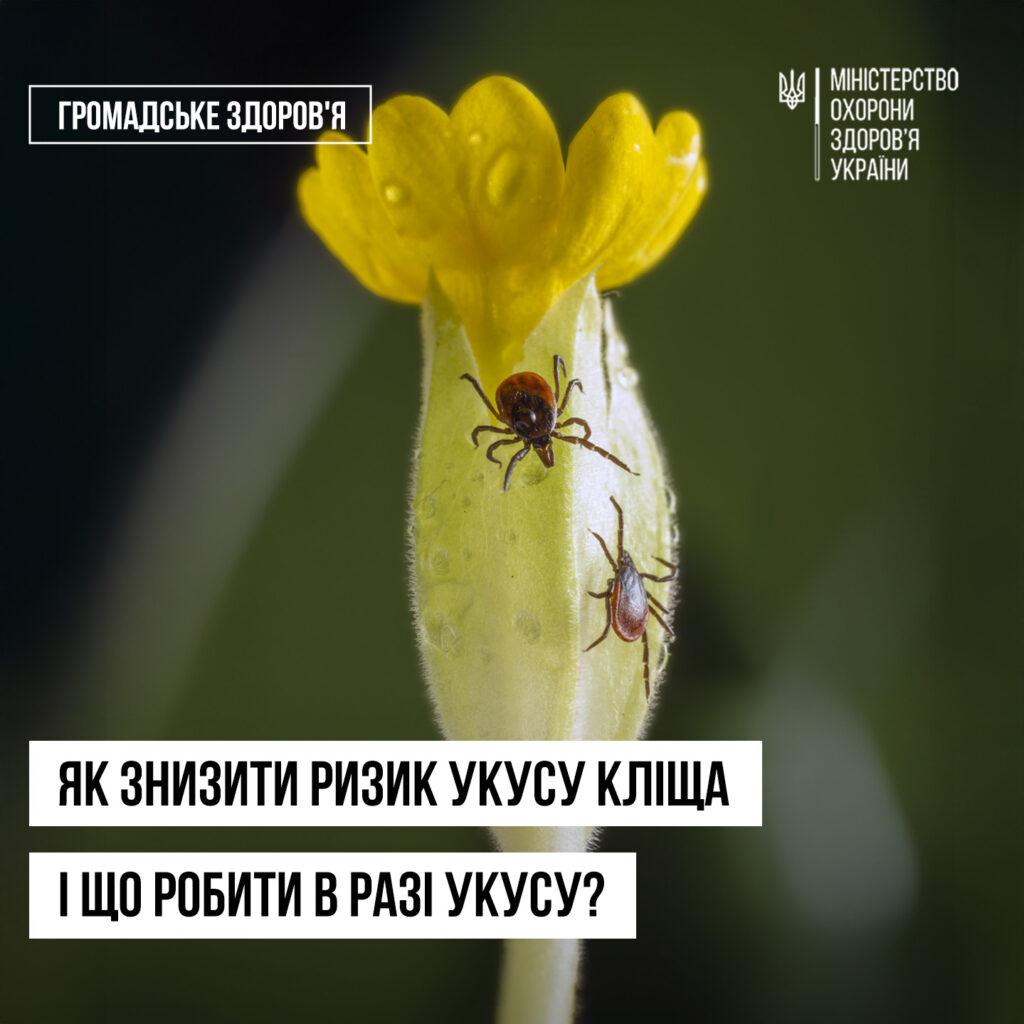 Як знизити ризик укусу кліща і що робити в разі укусу?