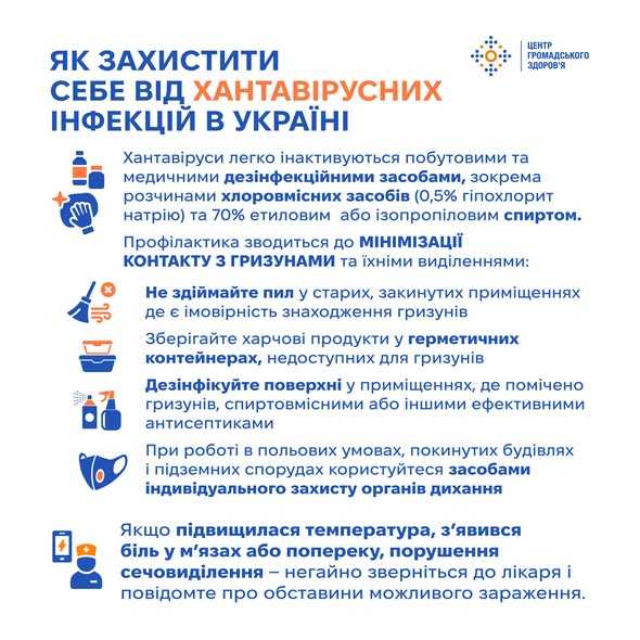 Хантавірусні інфекції: що потрібно знати про ситуацію у світі та в Україні
