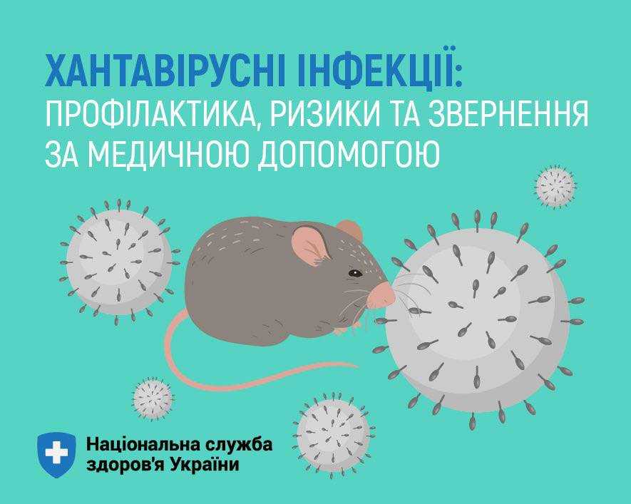 Хантавірусні інфекції: профілактика, ризики та звернення за медичною допомогою