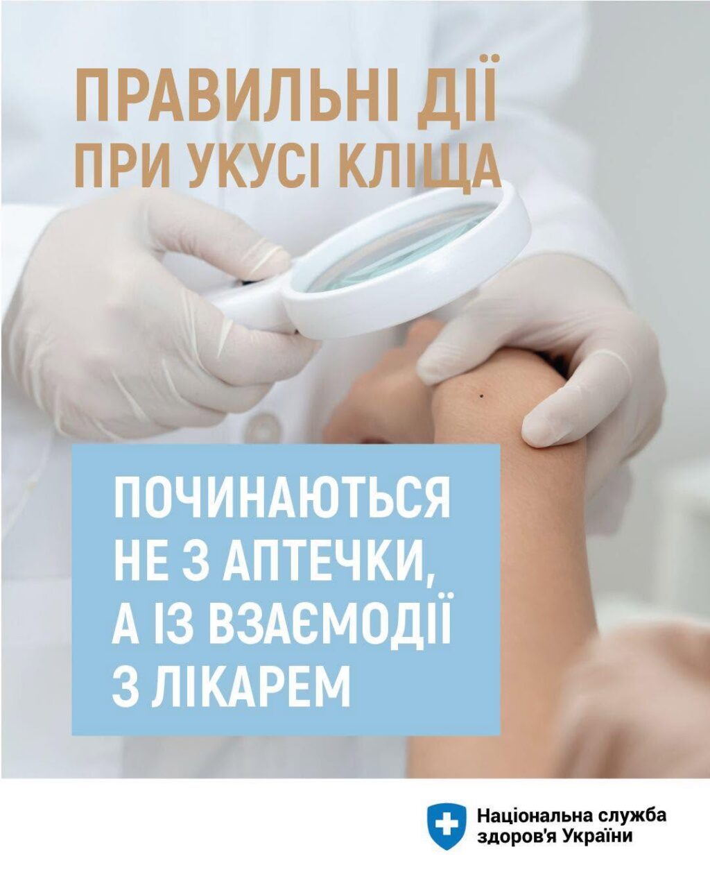 Правильні дії при укусі кліща Правильні дії при укусі кліща