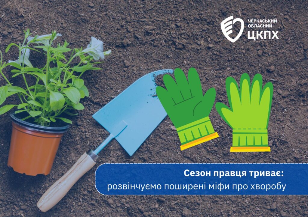 Сезон правця